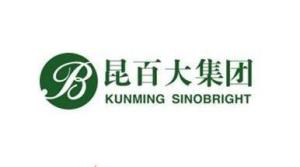 昆百大A與商品批發貿易的協同發展分析